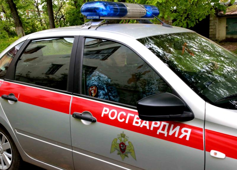 В Мордовии росгвардейцы задержали мужчину по подозрению в повреждении чужого имущества