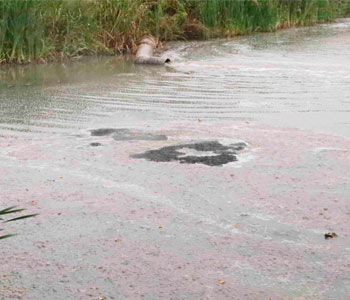 Активисты Народного фронта просят контролирующие органы повторно проверить состояние реки Медянки в Юрьянском районе