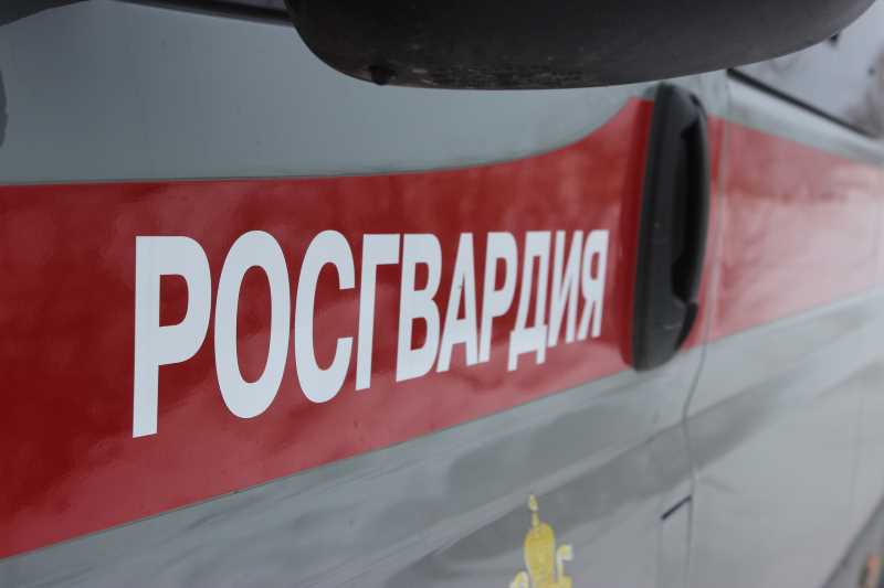 В Челябинске росгвардейцы задержали подозреваемого в грабеже из строительного гипермаркета