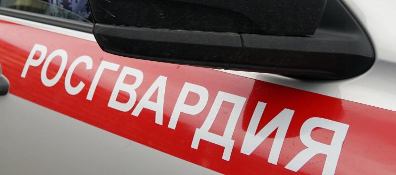 Кировские росгвардейцы задержали подозреваемую в совершении краж на территории нескольких районов области