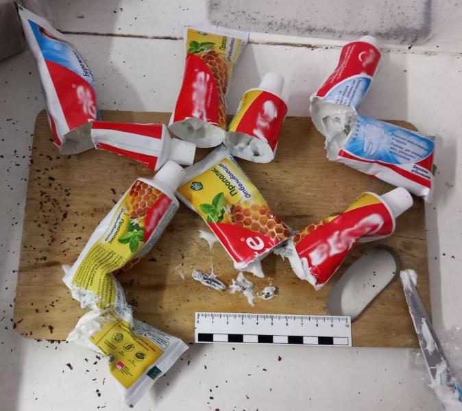 В Республике Тыва пресекли попытку доставки осужденным наркотических средств