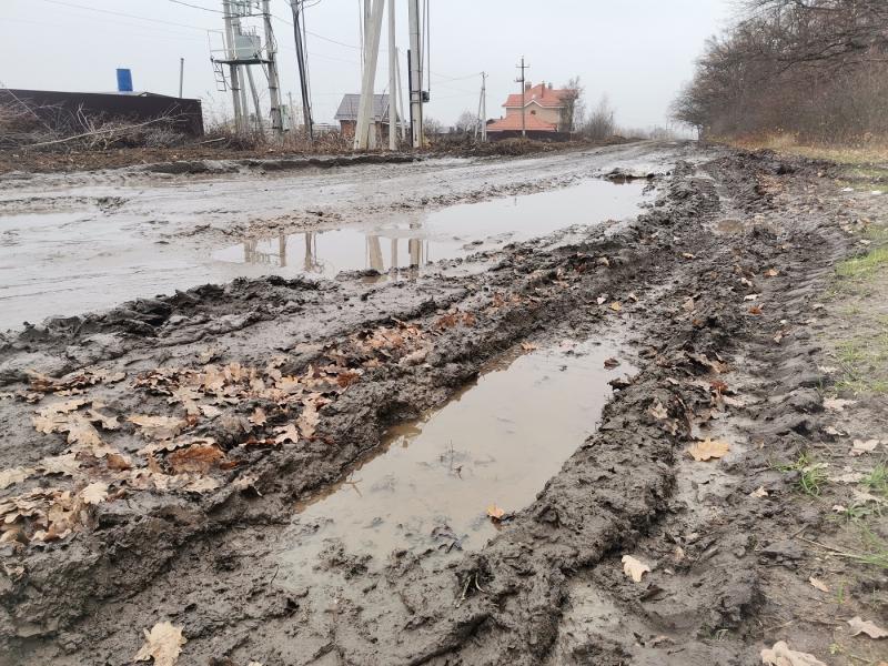 Под Воронежем 2,5 километра дороги превратили в непроходимое болото