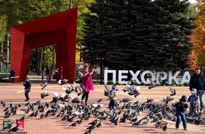 Причины, благодаря которым парк Пехорка в Балашихе стал самым посещаемым в Московской области