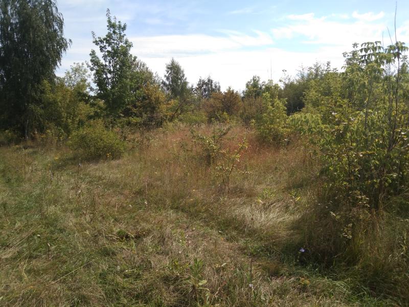 На территории Щигровского района Курской области выявлен земельный участок с сорной растительностью площадью 76,5га.