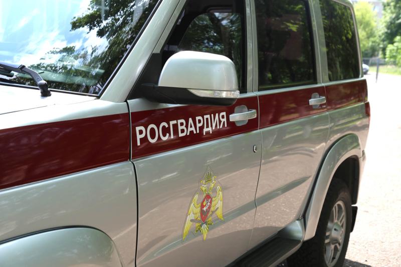 В Мордовии росгвардейцы задержали нетрезвого водителя врезавшегося в забор