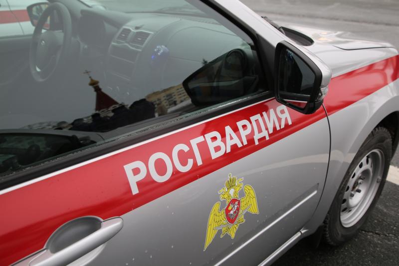 В Мордовии росгвардейцы оказали содействие сотрудникам ГИБДД в задержании нетрезвого водителя