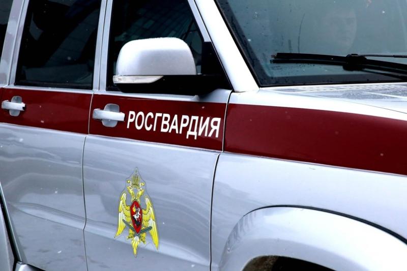В Мордовии росгвардейцы задержали нарушителя правопорядка