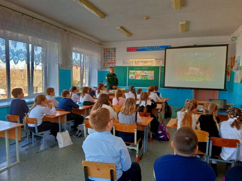 Школьникам Ершичской средней школы рассказали о профессии лесопатолога