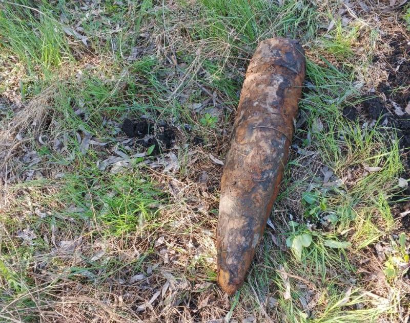 Взрывотехники ОМОН Росгвардии уничтожили артиллерийские снаряды в Тамбовской области