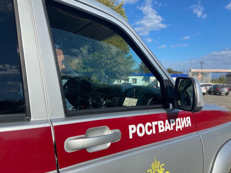 Сотрудники Росгвардии задержали подозреваемых в хулиганстве в Ульяновске