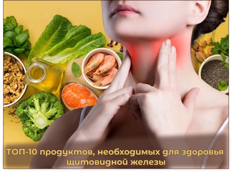 ТОП-10 продуктов, необходимых для здоровья щитовидной железы