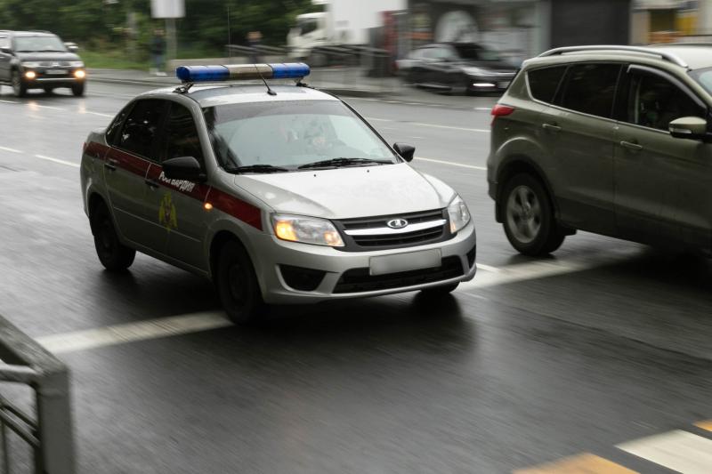 В Арсеньеве сотрудники вневедомственной охраны задержали подозреваемую в краже с дачного участка