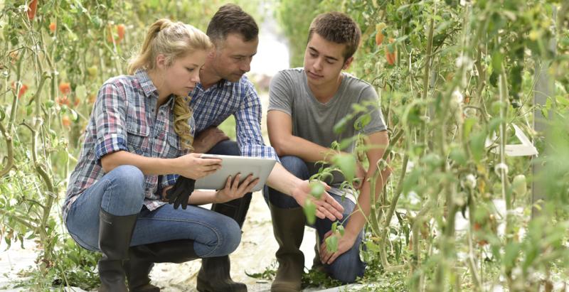 РСХБ назвал регионы, которые готовят больше всего молодых аграриев