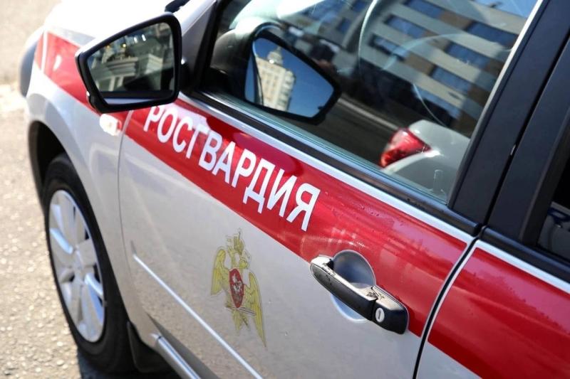 В столице Мордовии сотрудники Росгвардии задержали злоумышленника