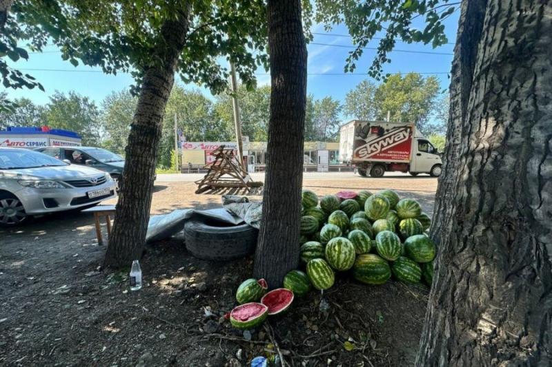 Более 400 кг опасных арбузов забрали у мигрантов на Хилокской в Новосибирске