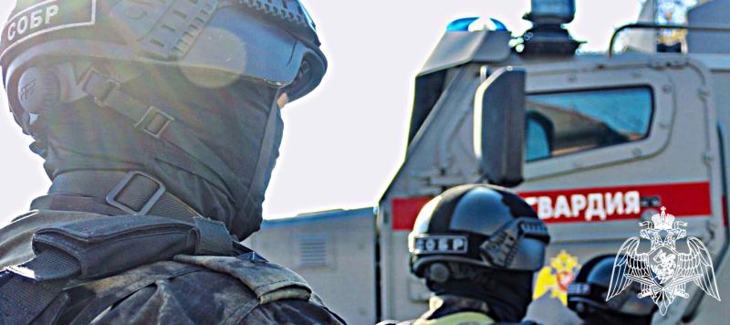 При участии Росгвардии в Ингушетии пресечен незаконный оборот оружия