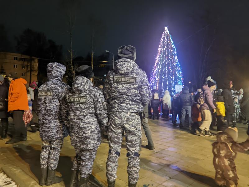 Зажжение иллюминации в парке "Березовый"