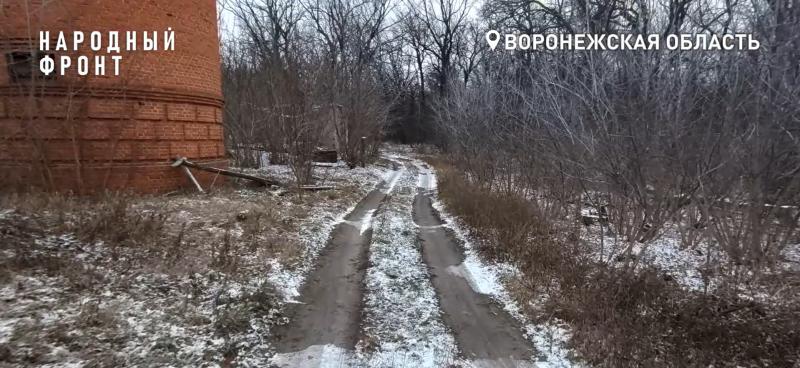 "В распутицу тонем в лужах и грязи": жители улицы Территория санатория в бобровском селе Слобода пожаловались президенту на тотальное бездорожье