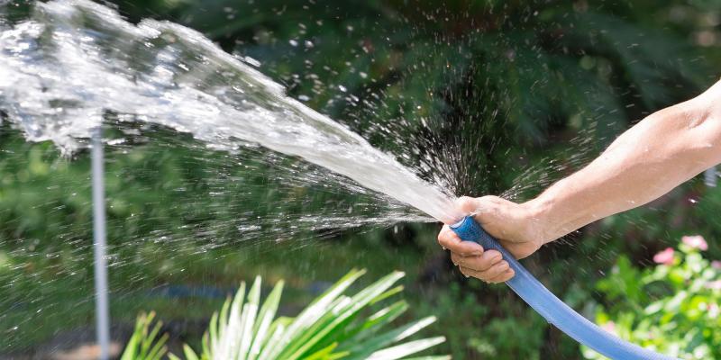 Технолог Пестов объяснил, как выбрать качественный шланг для полива на даче