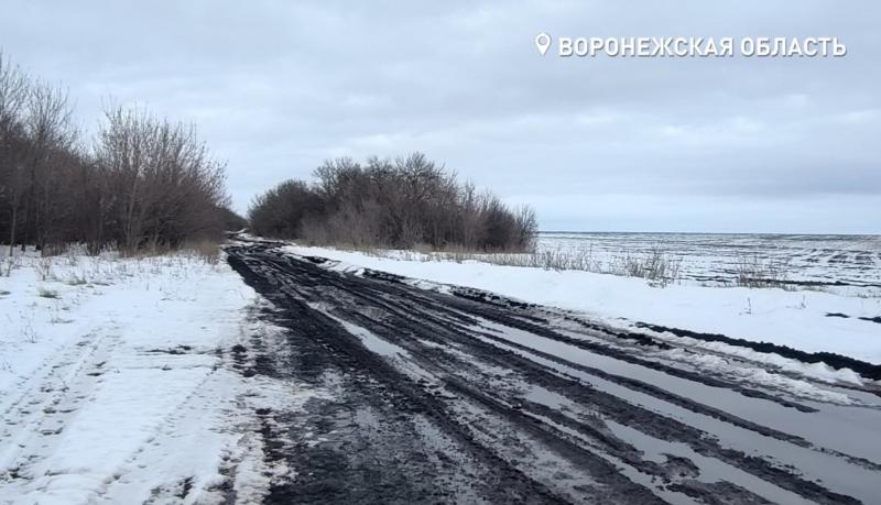 Жители Таловского и Аннинского районов попросили связать их прямой дорогой