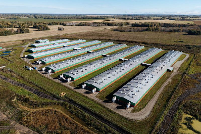 «Сибагро» внедрит систему Goodt WFM