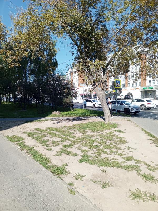 чавкает блокадой