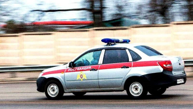 В Коломне сотрудники Росгвардии задержали подозреваемого в краже оборудования из сетевого магазина
