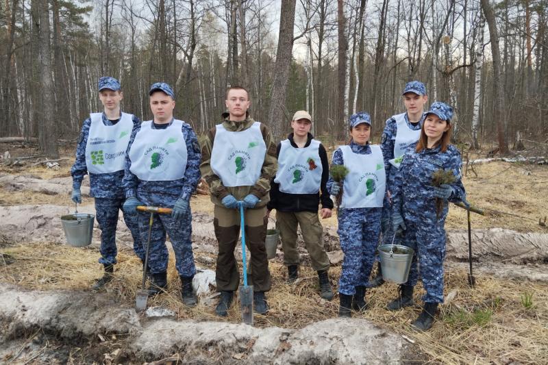 Росгвардейцы стали участниками международной патриотической акции «Сад памяти» в Тамбовской области