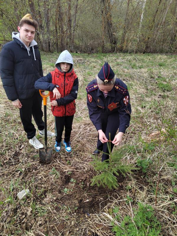 Солнечногорские росгвардейцы присоединились к акции «Лес Победы»