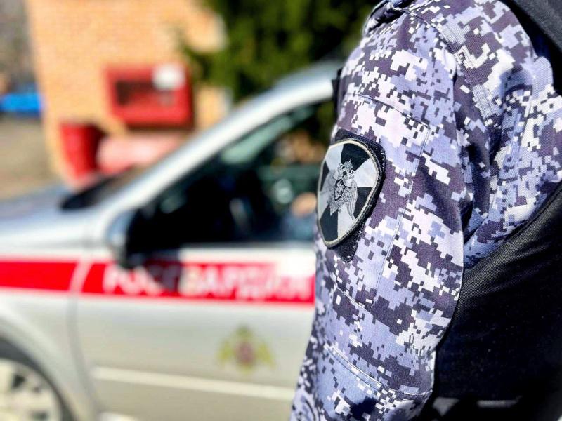 В Подмосковье сотрудники Росгвардии задержали гражданина, находившегося в федеральном розыске