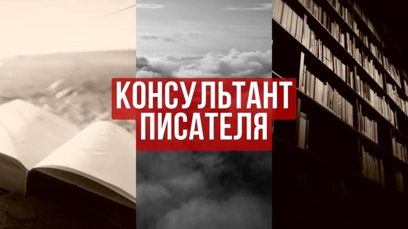 Консультант Писателя. Консультирование Писателя.