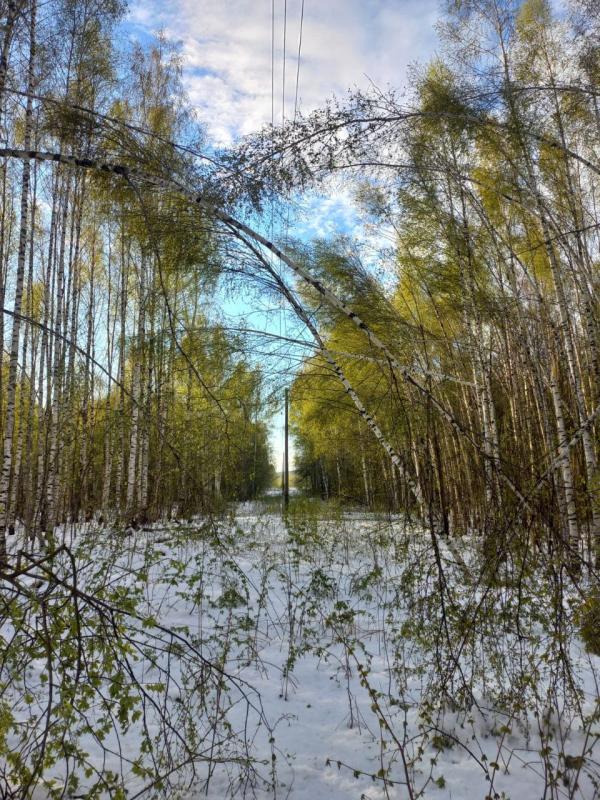 Энергетики «Ярэнерго» устранили последствия непогоды