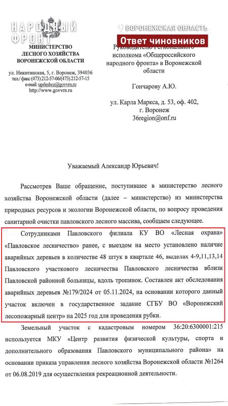 В 2025 году сосновый лес в центре Павловска очистят от аварийных деревьев и валежника