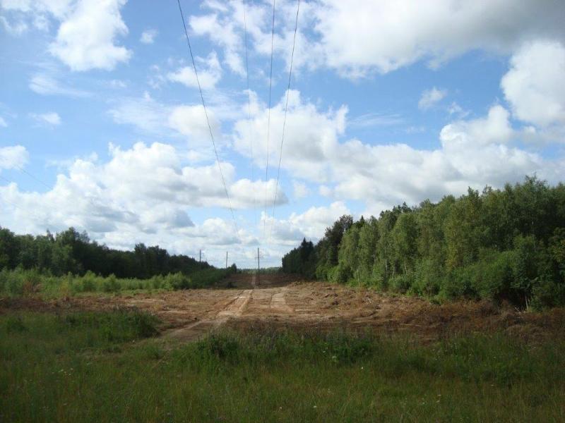 Смоленский филиал «Россети Центр» проведёт капитальный ремонт 12 линий электропередачи 110 кВ в 2025 году