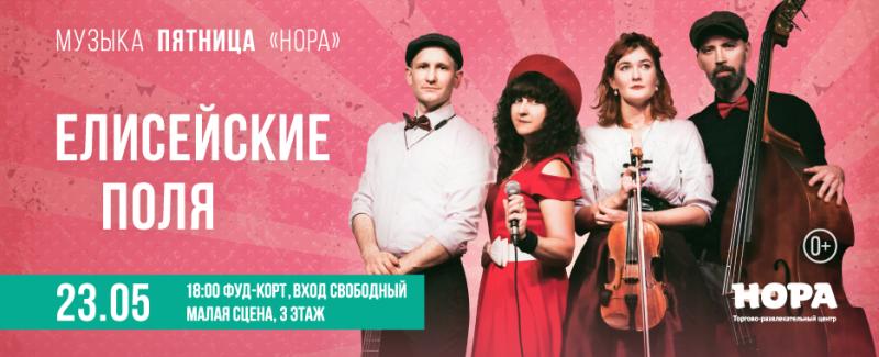 Музыкальный вечер в ТРЦ «Нора» в исполнении группы «Елисейские поля»