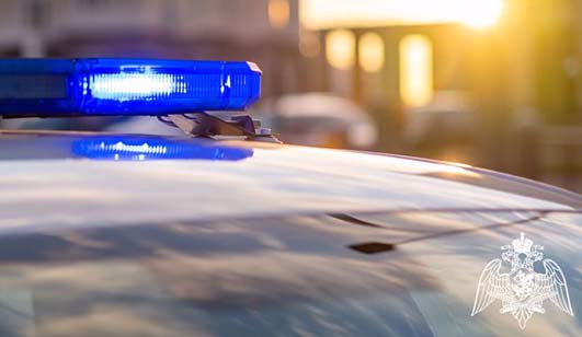 Росгвардейцы задержали подозреваемого в краже из магазина