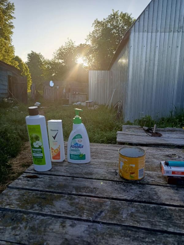 рассветы поэта а где света