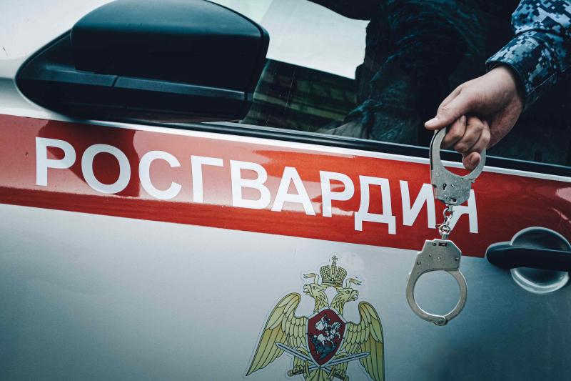 Росгвардейцы задержали предполагаемого похитителя портативной колонки у юргинца