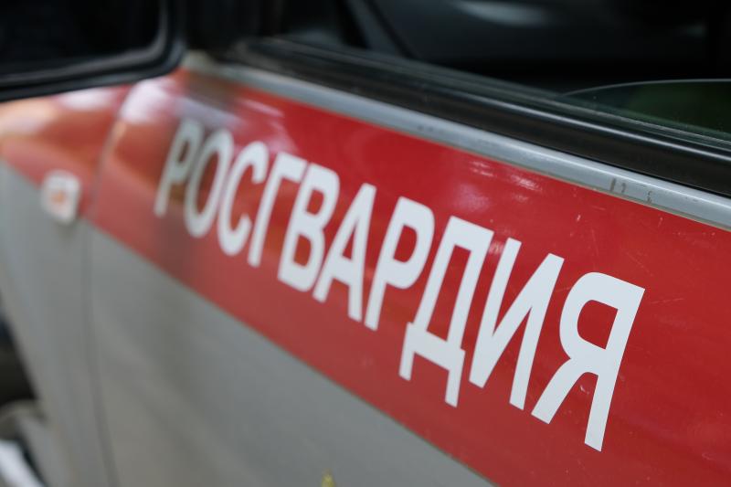 В Смоленской области сотрудники Росгвардии за прошедшую неделю выезжали более 110 раз по сигналу «тревога»