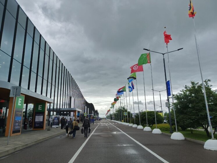 В Петербурге построят трамвайную линию для связи Славянки и НТЦ «Невская дельта»