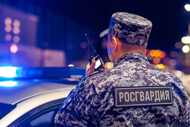 Росгвардейцы задержали предполагаемого виновника в повреждении чужого имущества