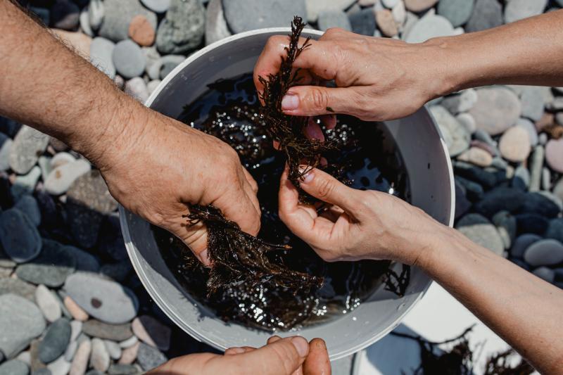 Зеленая миссия примет участие в международном экоакселераторе