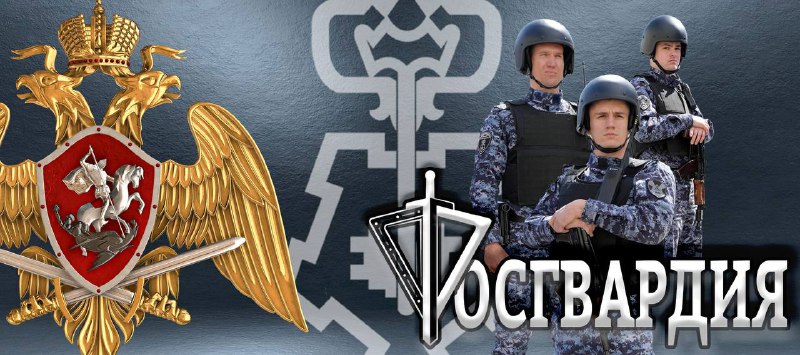 В Кировской области запущен многофункциональный сайт вневедомственной охраны Росгвардии