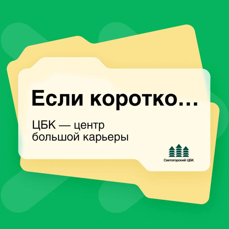 Светогорский ЦБК планирует привлекать молодых специалистов через новый Telegram-канал