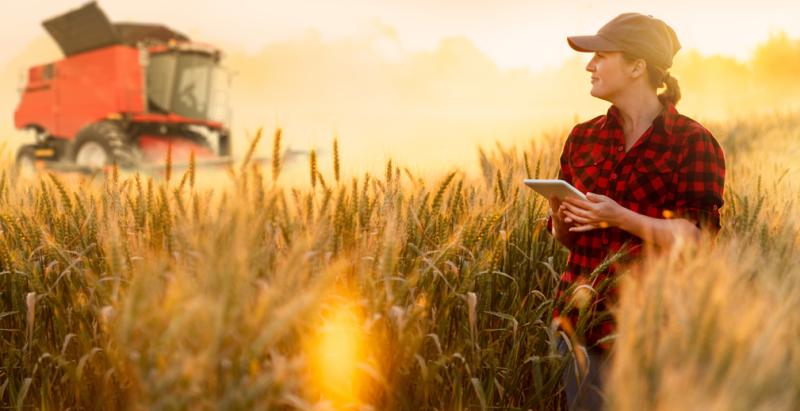 Россельхозбанк представил новый сервис финансового расчёта инвестиций для старта агробизнеса