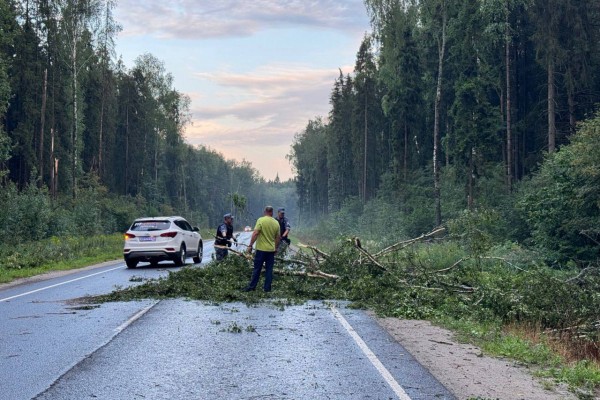 В Ярославской области росгвардейцы помогли автомобилистам