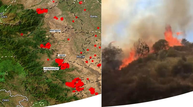 Овик Аванесов: Пожары в Арцахе устроены специально, это часть спланированного культурного геноцида