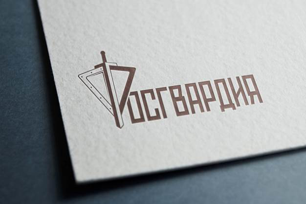 В Самаре росгвардейцы обеспечили безопасность футбольного матча «Акрон» — «Спартак»