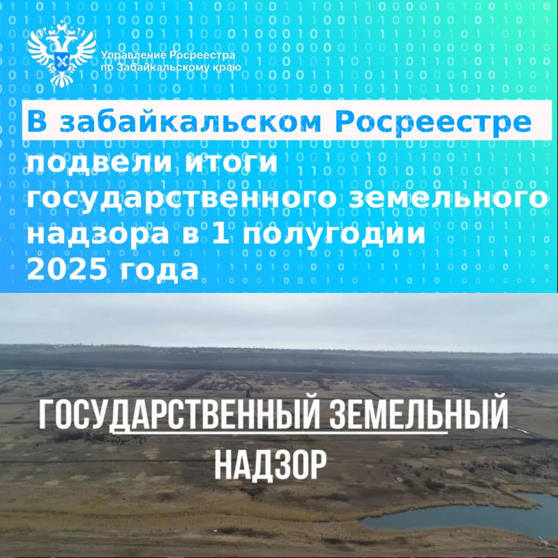 В забайкальском Росреестре подвели итоги государственного земельного надзора за первое полугодие 2025 года