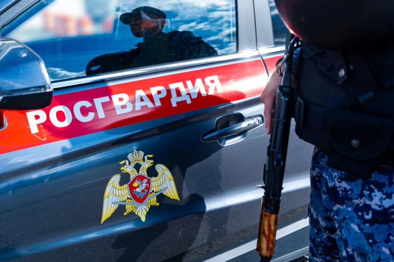 Сотрудники Росгвардии пресекли попытку кражи в Подмосковье